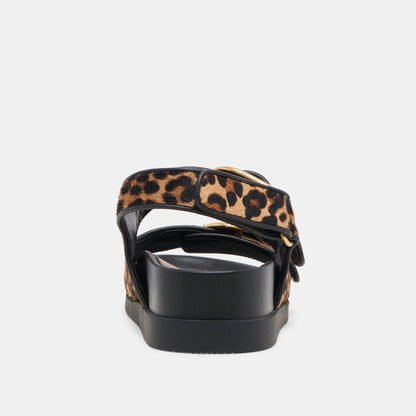 Dolce Vita STARLA SANDALS LEOPARD BLACK CALF HAIR